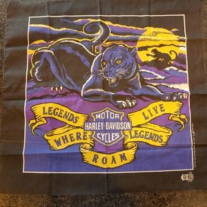 Vintage harley Davidson